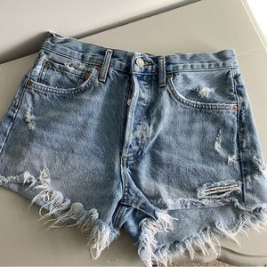 AGOLDE Parker Vintage Cut Off Short
